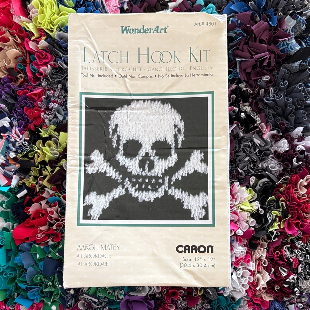 🆕Caron Wonder Art Latch Hook Kit